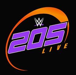 Repeticion WWE 205 Live 29 de Noviembre de 2016 en Ingles
